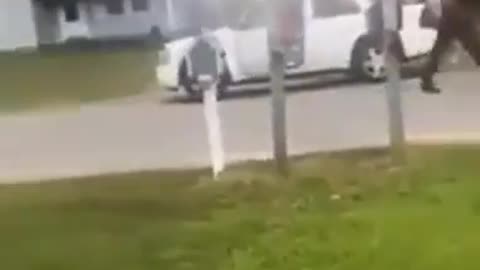 TOO FUCKIN BAD THAT WHITE DUDE DIDNT BEAT THAT RACE TRAITOR MUDSHARK TO DEATH