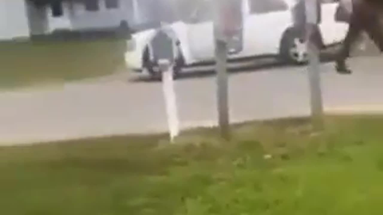 TOO FUCKIN BAD THAT WHITE DUDE DIDNT BEAT THAT RACE TRAITOR MUDSHARK TO DEATH