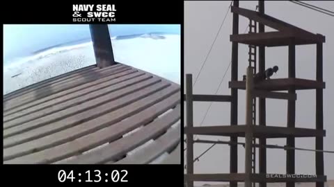 SEAL Buds Endure BRUTAL Obstacle Course