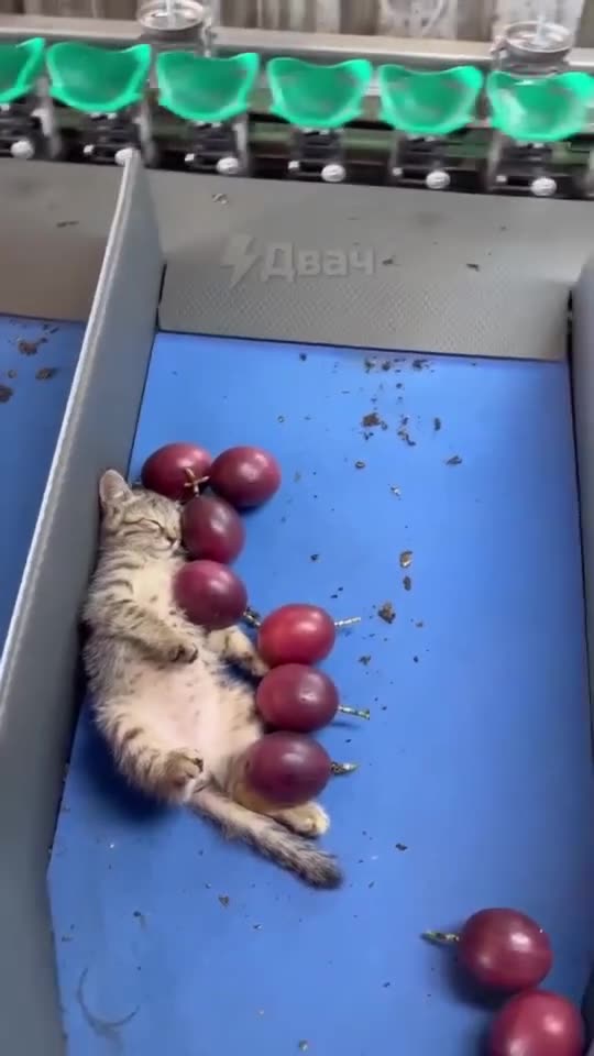 Employee of the month