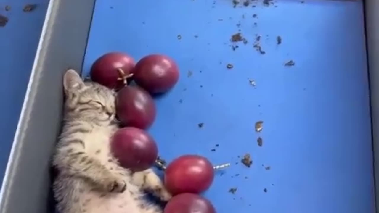 Employee of the month