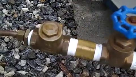 Wood burning water heater