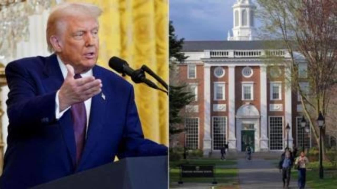 Harvard University sues Trump administration to stop funding freeze