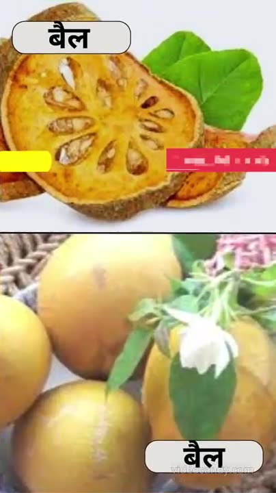 Bael Fruit Khane Ke Fayde