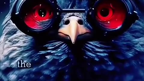 Worked for the CIA, robotic birds