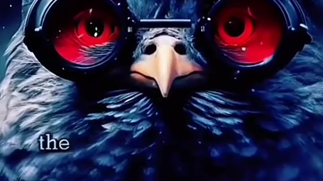 Worked for the CIA, robotic birds