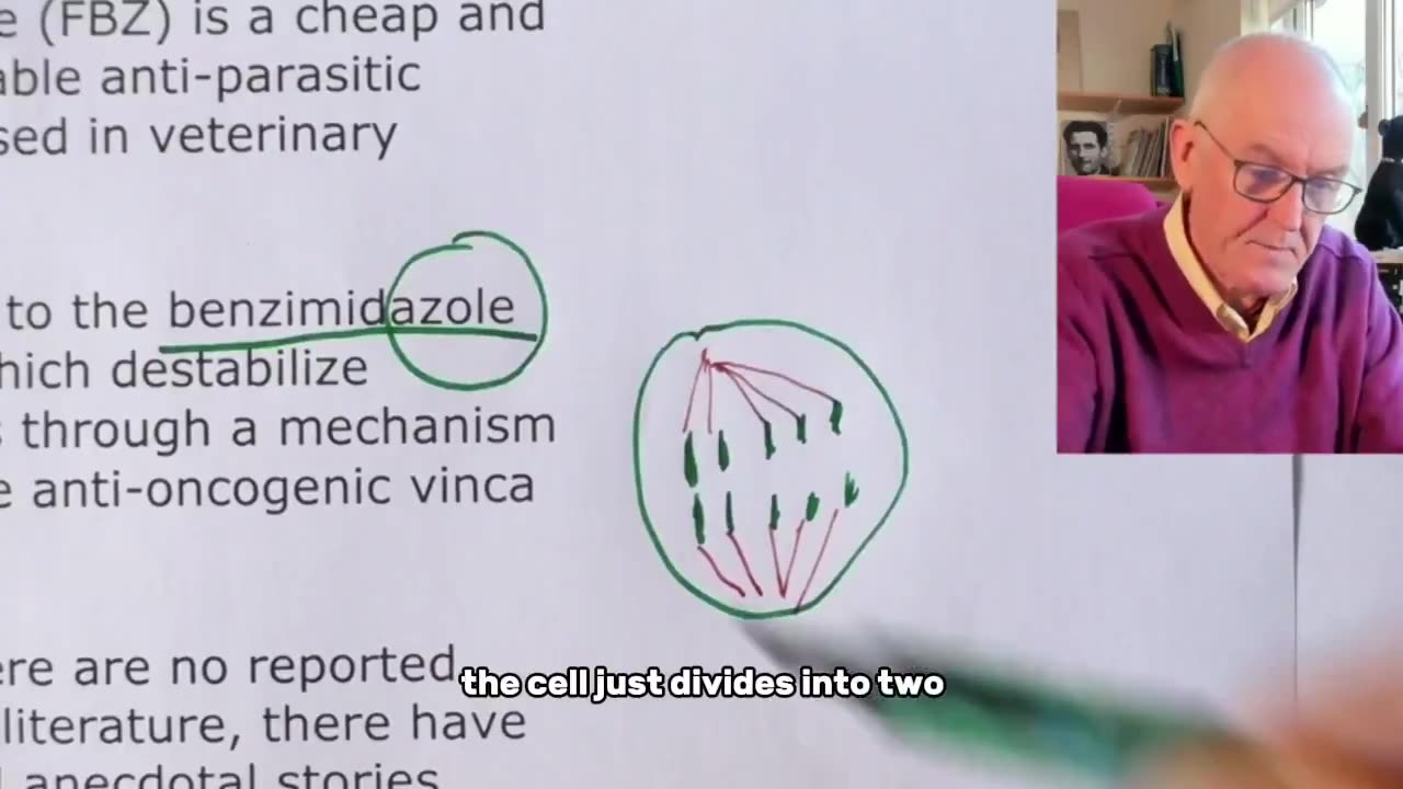 Fenbendazole attacks cancer in three ways: