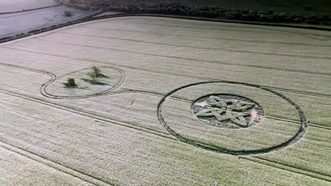 Crop circles 2025 1, Sutton Venny Wiltshire, 2 Hackpen Hill Wiltshire
