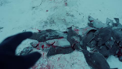 Two Days of Ice Fishing - on the Coldest Island in the World