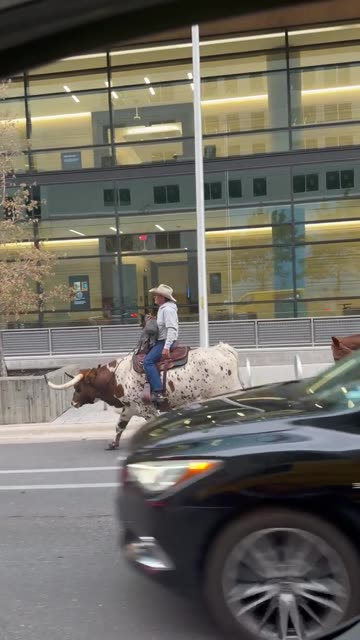 Cowboy Riding a Bull in Downtown Austin