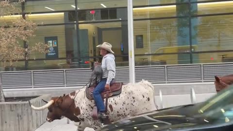 Cowboy Riding a Bull in Downtown Austin
