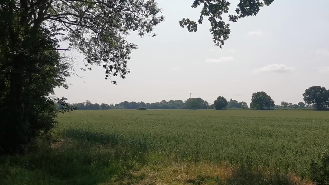 WILL 666 You / Escape In Time ? Get Out Alive 90 Seconds to Midnight 4