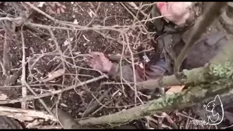 Wounded Ukrainian soldiers