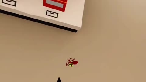 I'm not afraid of a few little spiders