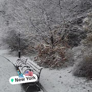 New York Christmas Winter Holiday Season America USA