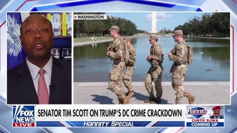 'PEACE OF MIND COMING YOUR WAY': Trump praised for efforts to stop crime