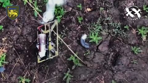 🤖💥 Ukraine Russia War | Ukrainian "Vidarr" Battalion Destroys Russian Drones | RCF