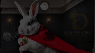 KATT & THE OCCULT: SATAUS ILLUMITUS (PART IV.V) (BANNED DOCUMENTARY) 🎬