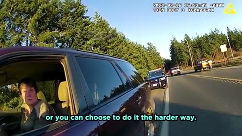 Karen Meets Karma After Fleeing Traffic Stop