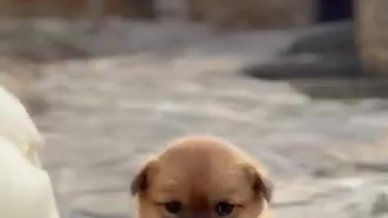😍Good Morning, My New Mom