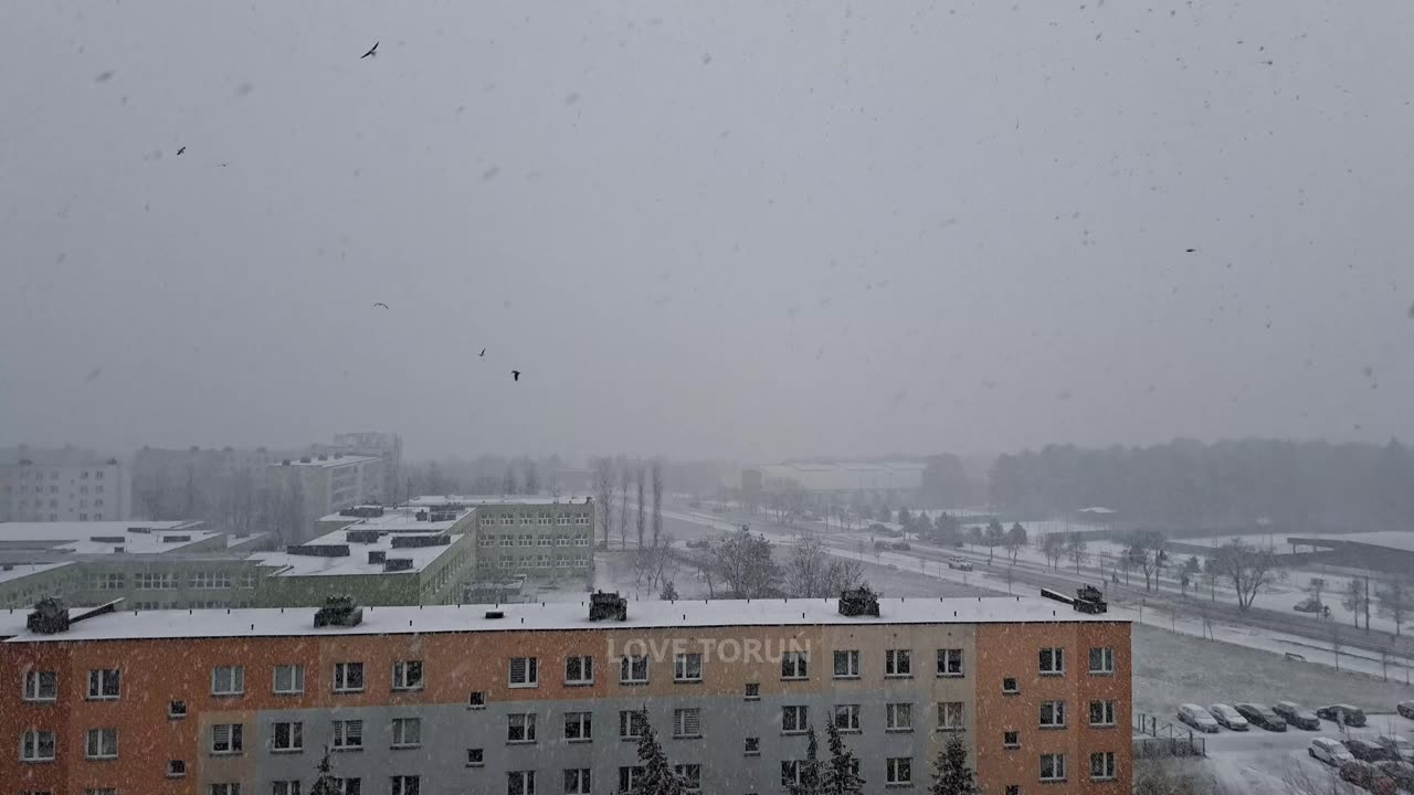 Śnieży