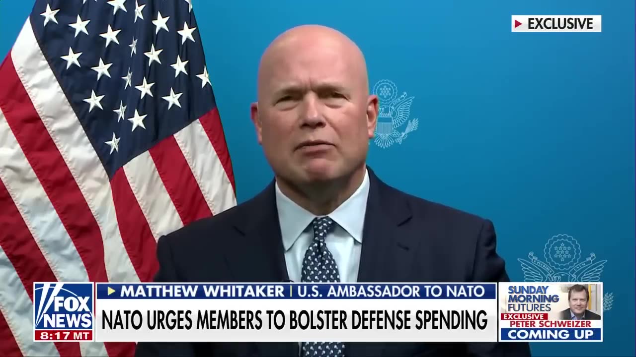 NATO Ambassador Matthew Whitaker says this 'once in a lifetime moment' must be taken advantage of