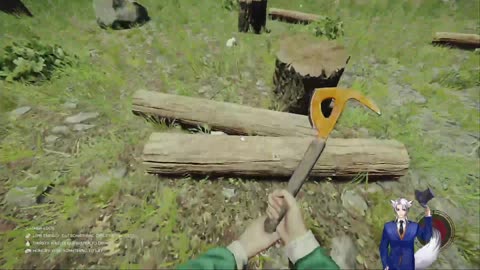 The Forest and tarot readings