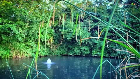 Relaxing Waterfall Sounds for Sleep | Fall Asleep & Stay Sleeping with Water White Noise ,