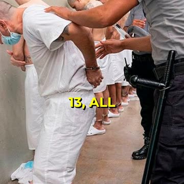 MS-13 Lies EXPOSED: Here's the Truth #shorts #shortsvideo