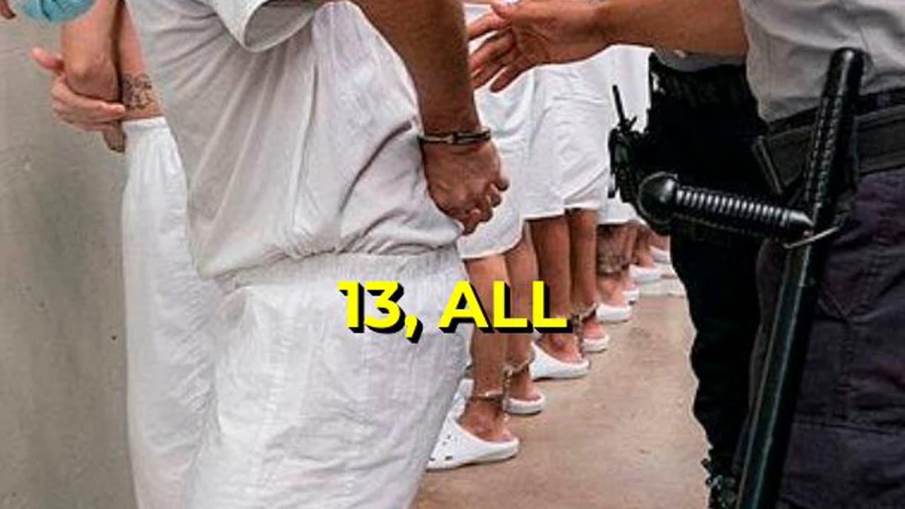 MS-13 Lies EXPOSED: Here's the Truth #shorts #shortsvideo
