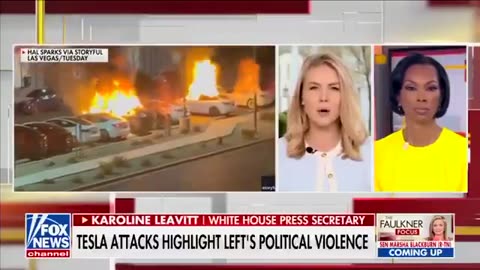 Press Sec Karoline Leavitt tells Harris Faulkner on political violence against Tesla