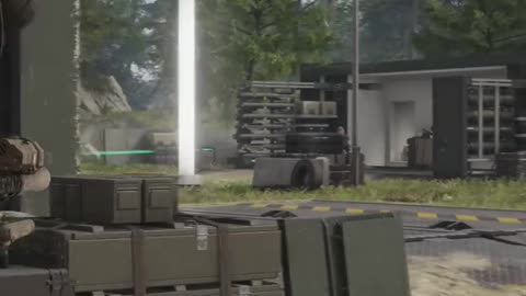 fighting in a forest full of grass