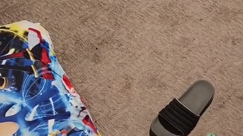 Hayate Steals Sandals Archive 07/03/2023