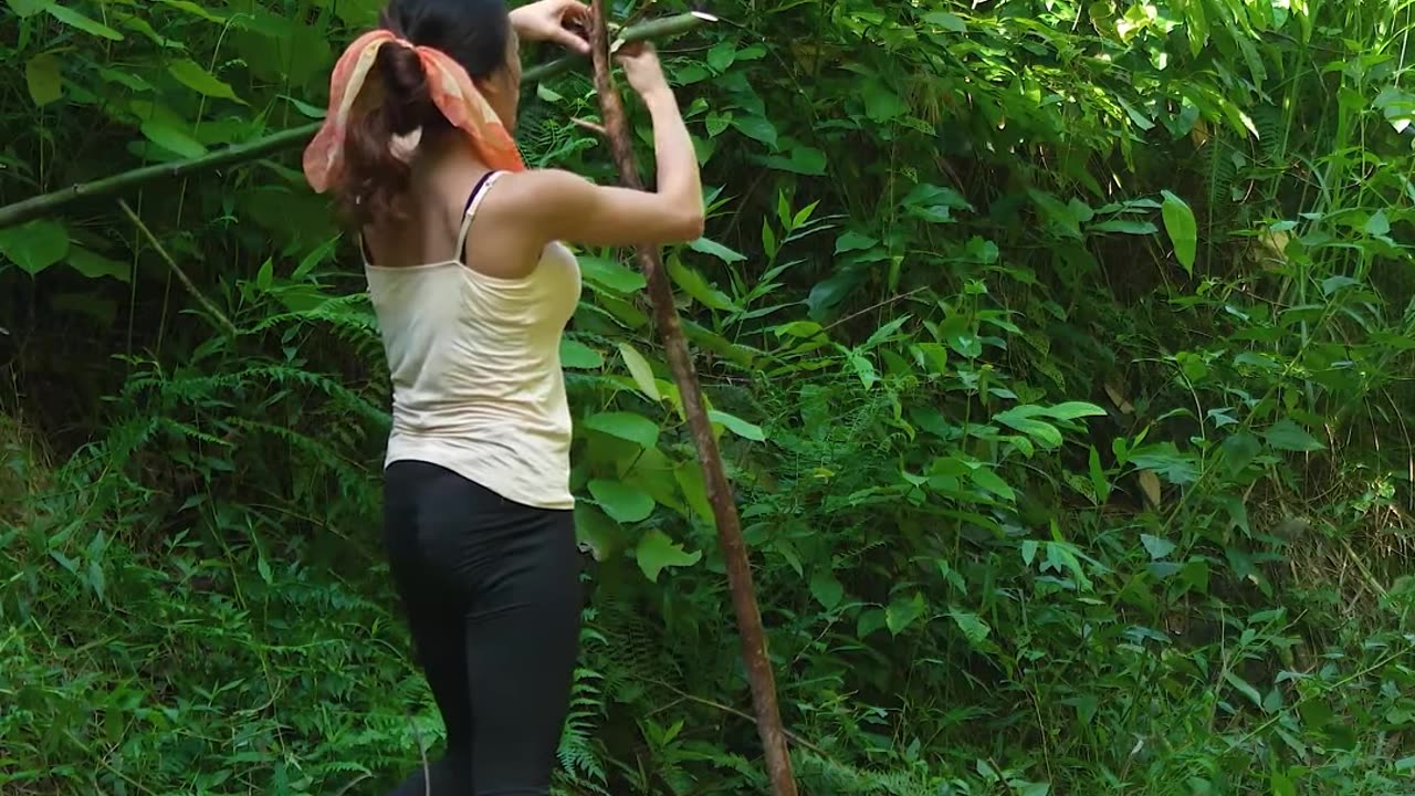 jungle days fierce lady thrives without help episode one