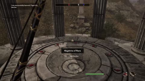 The 90% Invisible Bosmer in Oblivion Remastered - Expert Diff