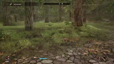 The 90% Invisible Bosmer in Oblivion Remastered - Expert Diff