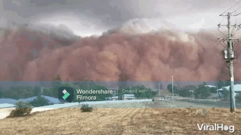 SAND STORM CYLENT ZAM MIX