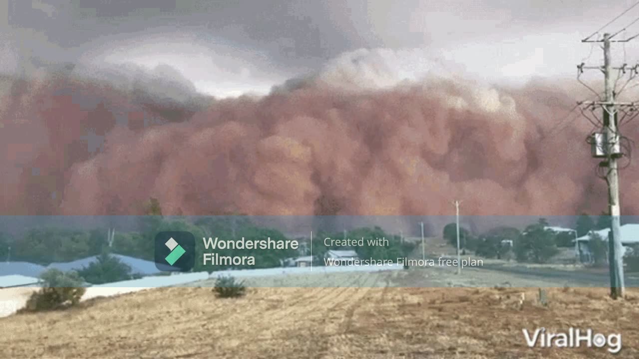 SAND STORM CYLENT ZAM MIX