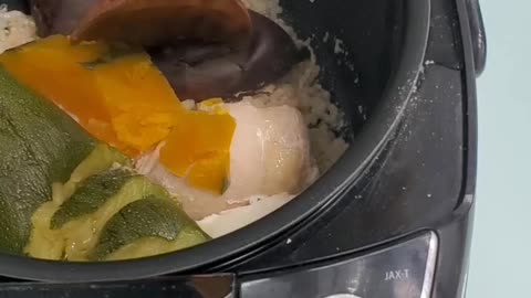 Easy homemade dog food using a Rice cooker