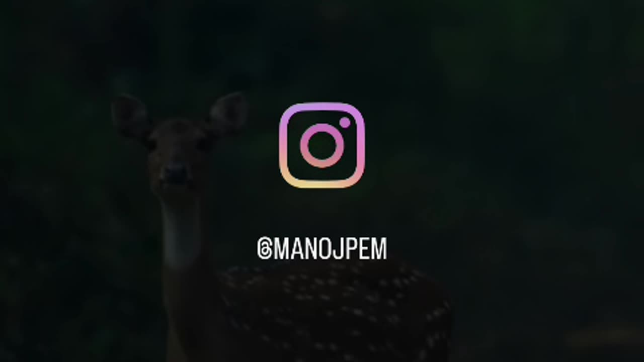 Comedy video