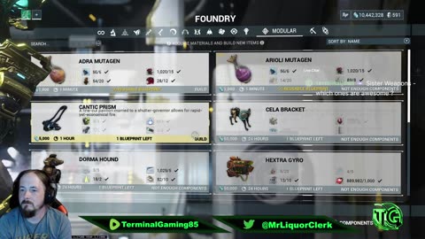 Terminal Gaming - Warframe Sister Weapons