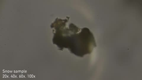 2026-01-04 Snow sample