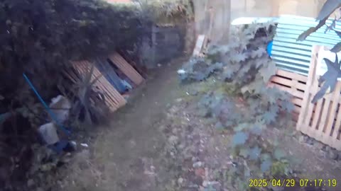 250429A___Madeira_NS-404._Strange_object_above_Madeira_island_--_view_from_my_garden.(1080p)