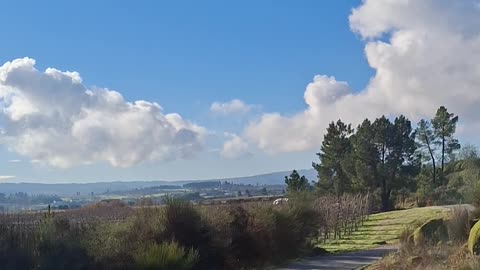 Why is it so difficult to break free from the influence of the web of deceit that shapes who we are,