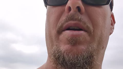Gangstalking, Rat crews/families, Targeted individuals