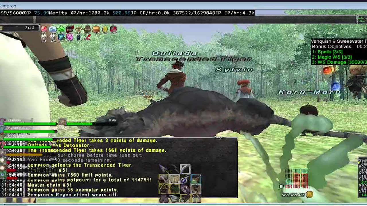 Playing Final Fantasy XI Online