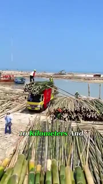 Semarang-Demak toll road