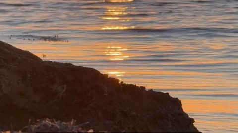 Daily Horoscope | Leo 🌟