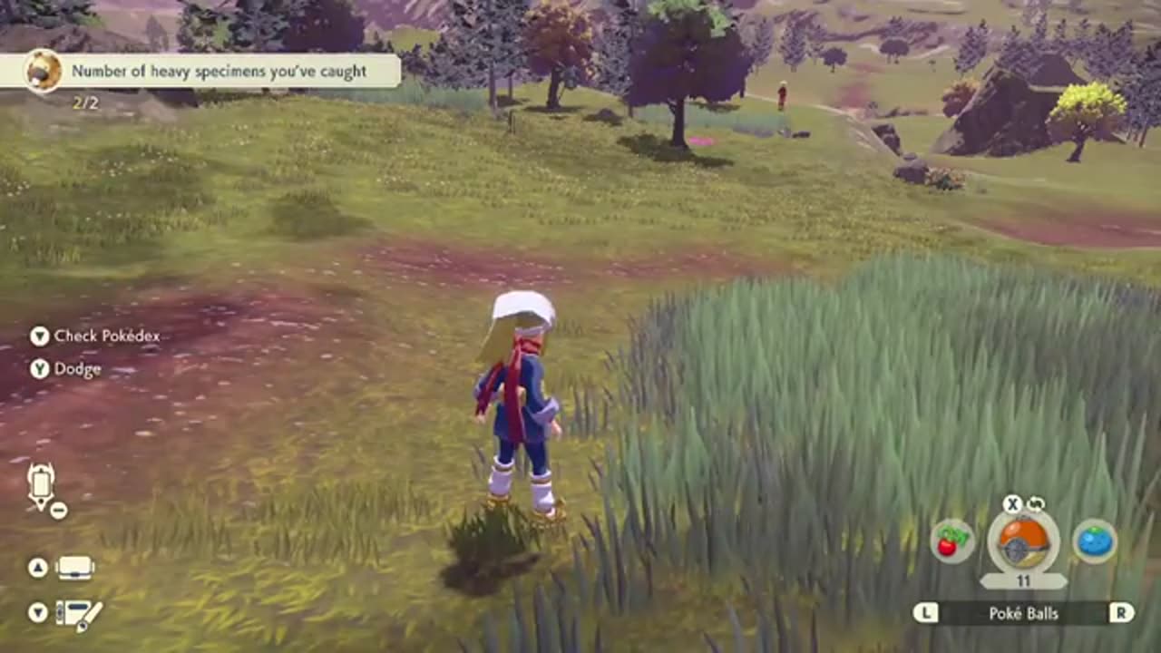 Pokémon Legends_ Arceus Day 2