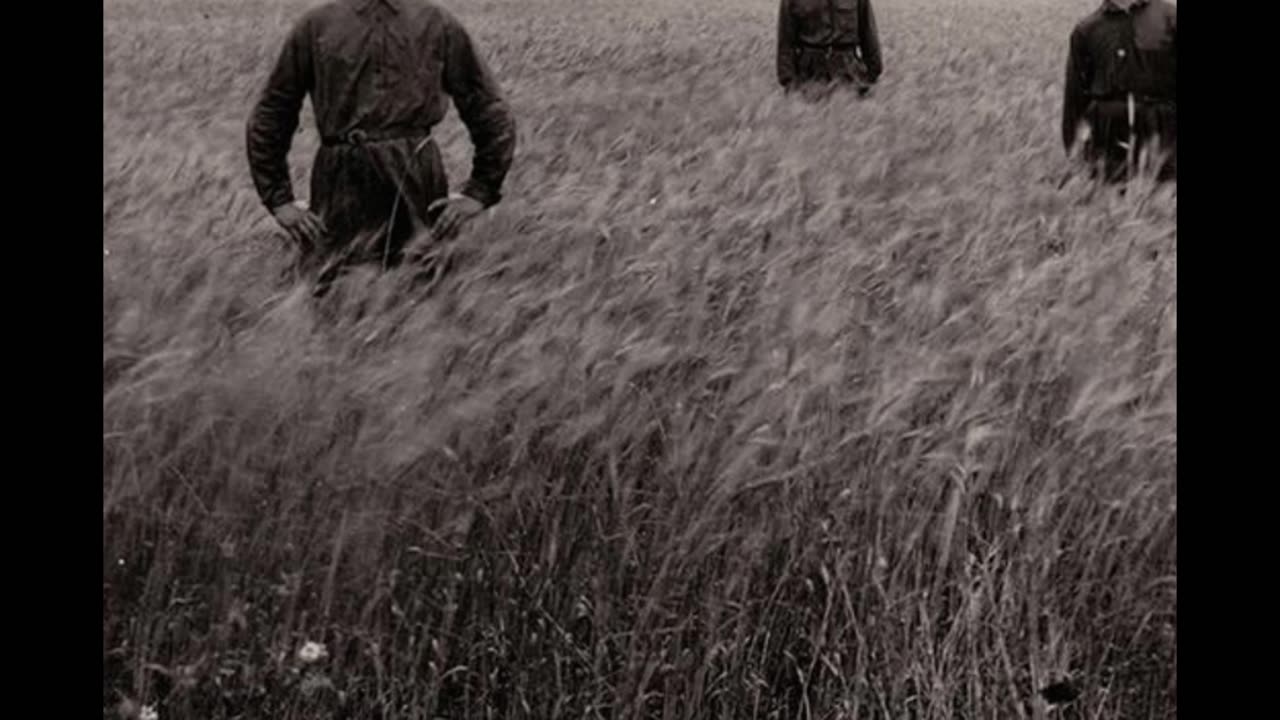 Holodomor: The Silent Genocide of Ukraine